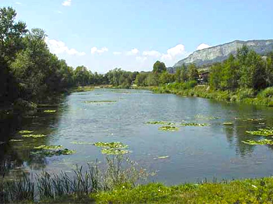 stage peche carnassiers haute savoie lac ayze