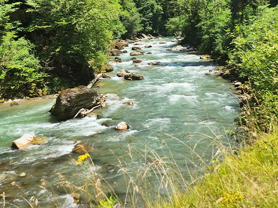 stage peche truite mouche nymphe leurres appats naturels sur la dranse haute savoie